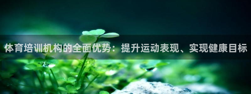 焦点娱乐官网下载安装手机版最新：体育培训机构的全面优