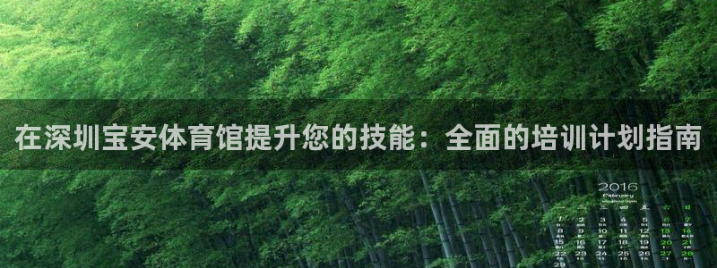 焦点娱乐游戏攻略视频：在深圳宝安体育馆提升您的技能：