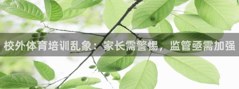 焦点娱乐官方网站首页入口下载