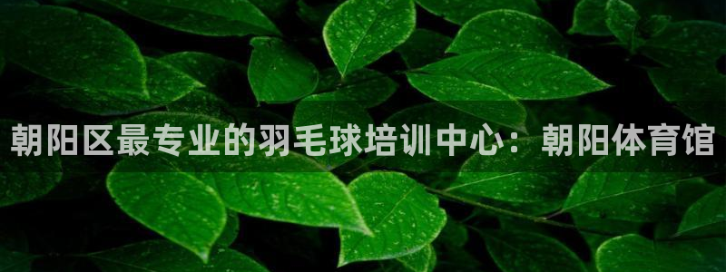 焦点娱乐股东持股比例：朝阳区最专业的羽毛球培训中心：