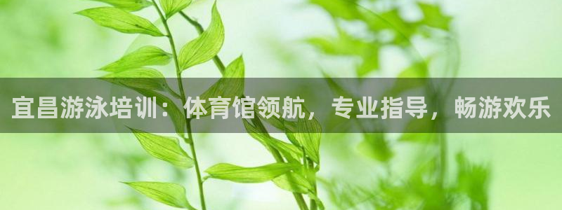 焦点娱乐平台客服热线：宜昌游泳培训：体育馆领航，专业指导，畅